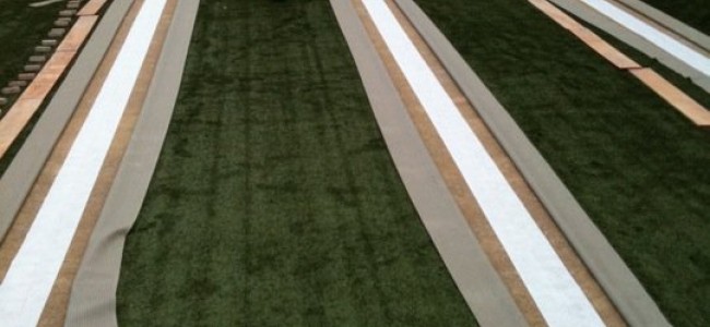 מגרשי ספורט דשא סינטטי
