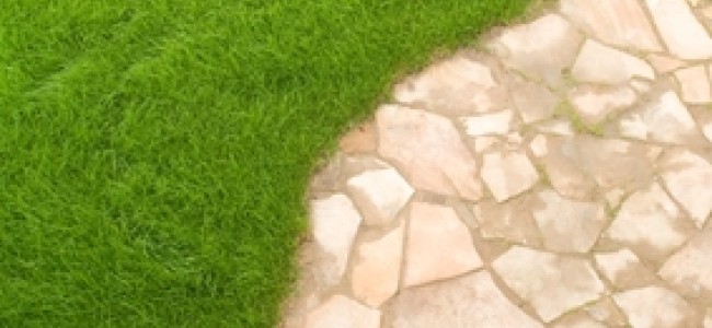 שביל אבני מדרך לגינה