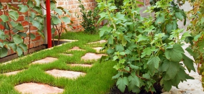 דשא סינטטי ואבני מדרך