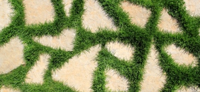 שימוש דשא סינטטי ואבני מדרך