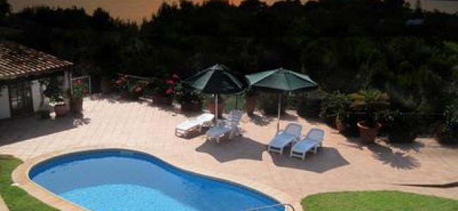 דשא סינטטי לבריכת שחייה