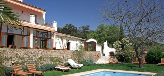 דשא סינטטי לבריכה פרטית